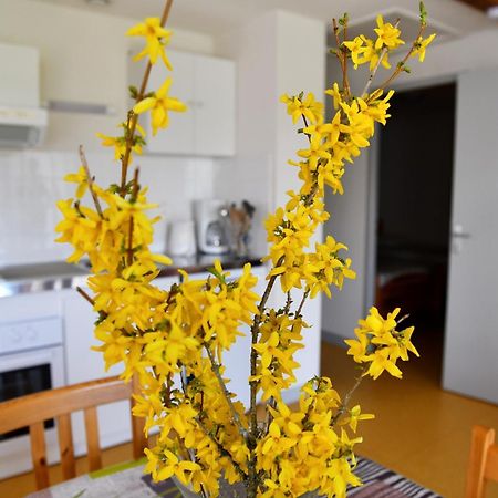 Saint-Pal-en-Chalencon Bel'Horizonヴィラ 部屋 写真