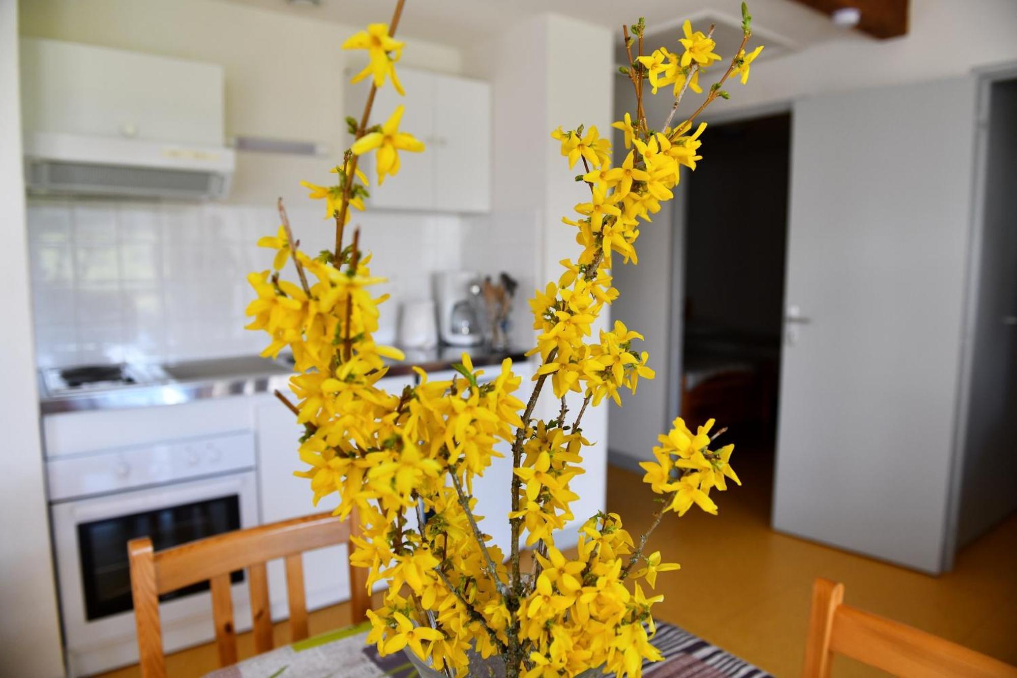 Saint-Pal-en-Chalencon Bel'Horizonヴィラ 部屋 写真